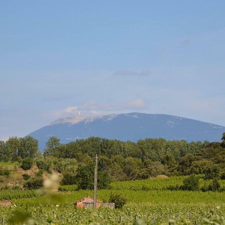 Vacances Vaison La Romaine מראה חיצוני תמונה